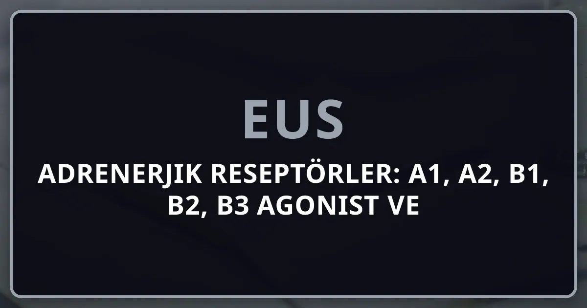 Adrenerjik Reseptörler: α1, α2, β1, β2, β3 Agonist ve Antagonistleri — EUS Farmakoloji Analizi 2026
