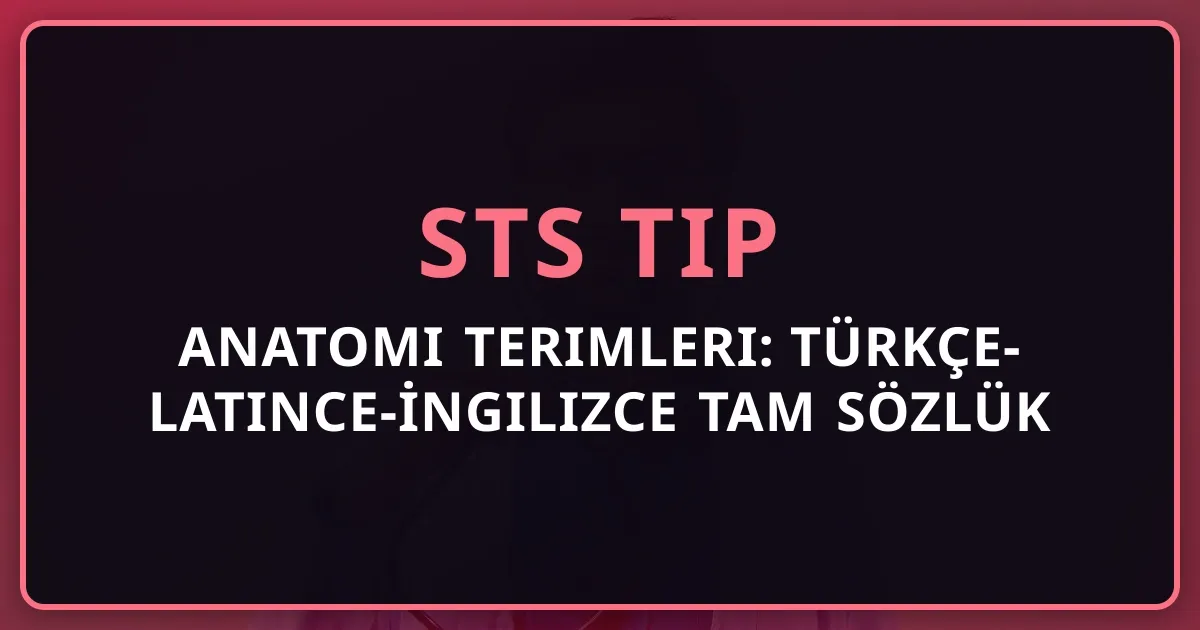 2026 Anatomi Terimleri: Türkçe-Latince-İngilizce Tam Sözlük (Yurt Dışı Tıp Mezunları İçin STS Tıp)