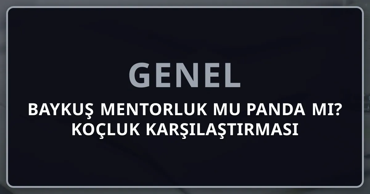 Baykuş Mentorluk mu Rehber Panda mı? 2026 Koçluk Karşılaştırması