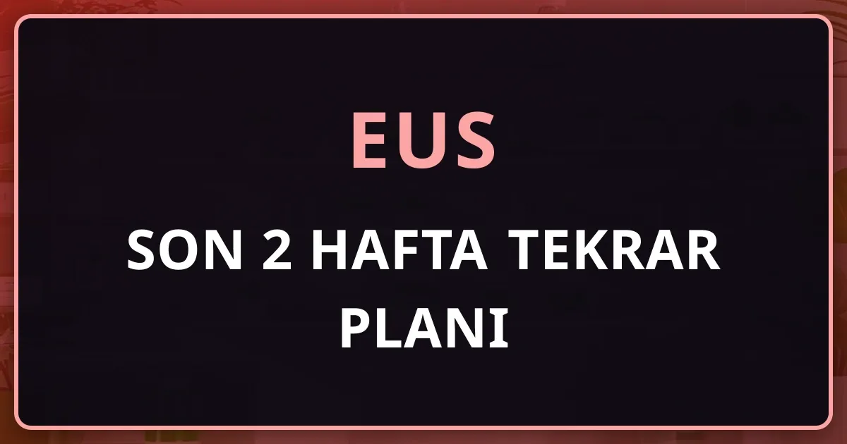 EUS Son 2 Hafta Tekrar Planı: 24 Ekim - 7 Kasım 2026