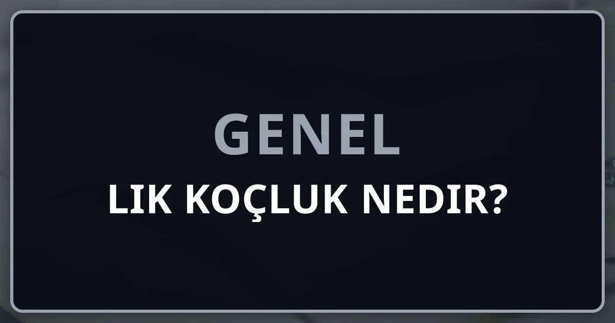 Rehberlik Koçluk Nedir? 2026 Kapsamlı Rehber