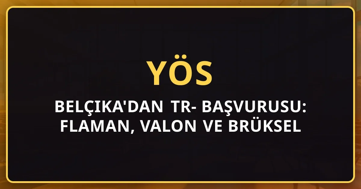 Belçika'dan TR-YÖS 2026 Başvurusu: Flaman, Valon ve Brüksel Gurbetçileri için Rehber