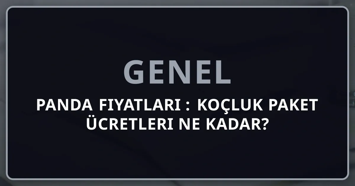 Rehber Panda Fiyatları 2026: Koçluk Paket Ücretleri Ne Kadar?