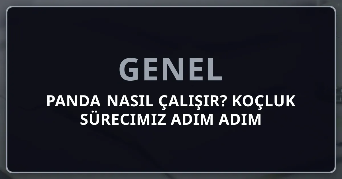 Rehber Panda Nasıl Çalışır? Koçluk Sürecimiz Adım Adım
