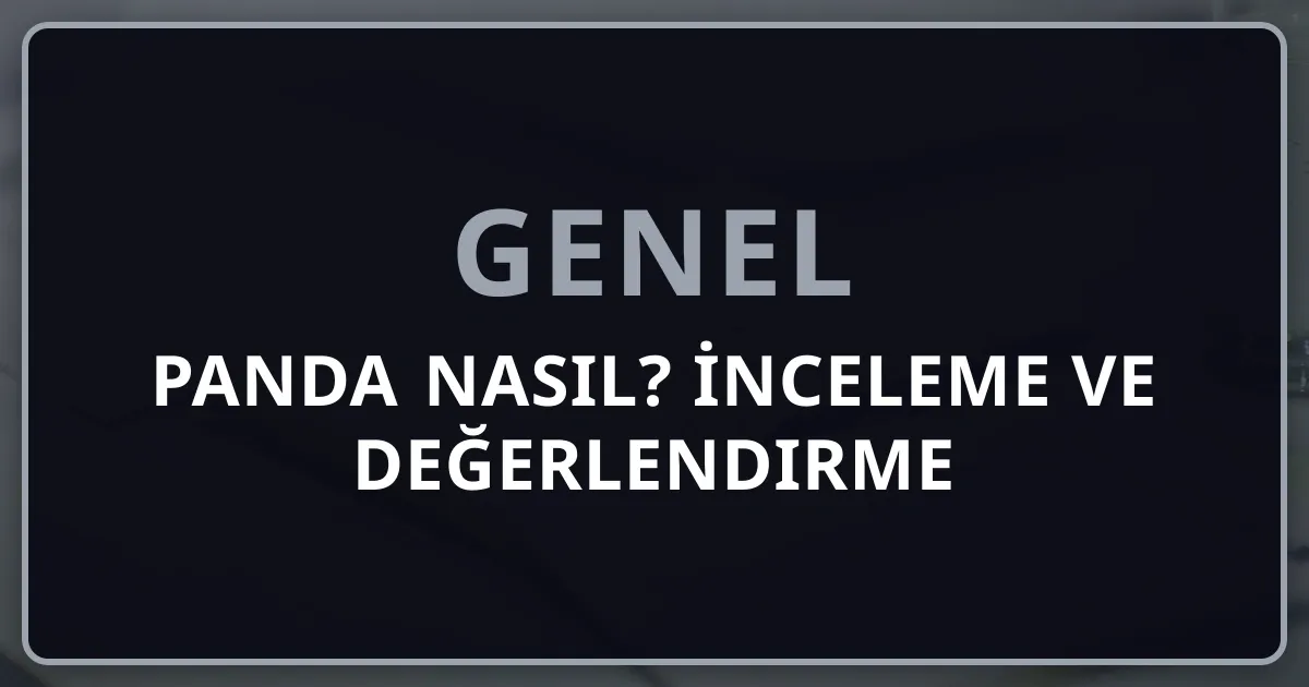 Rehber Panda Nasıl? Detaylı İnceleme ve Değerlendirme 2026
