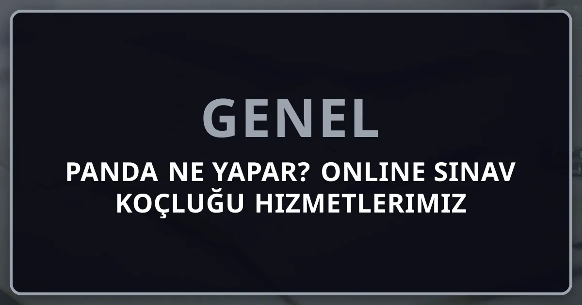 Rehber Panda Ne Yapar? Online Sınav Koçluğu Hizmetlerimiz