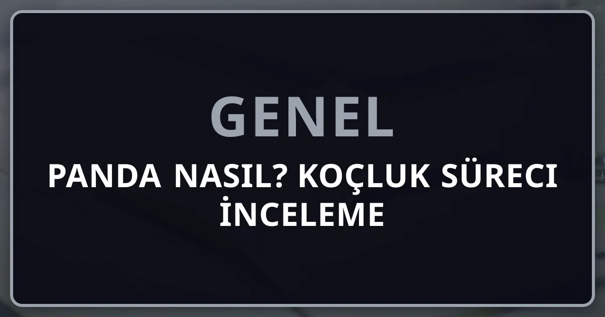Rehberpanda Nasıl? Koçluk Süreci Kapsamlı İnceleme 2026